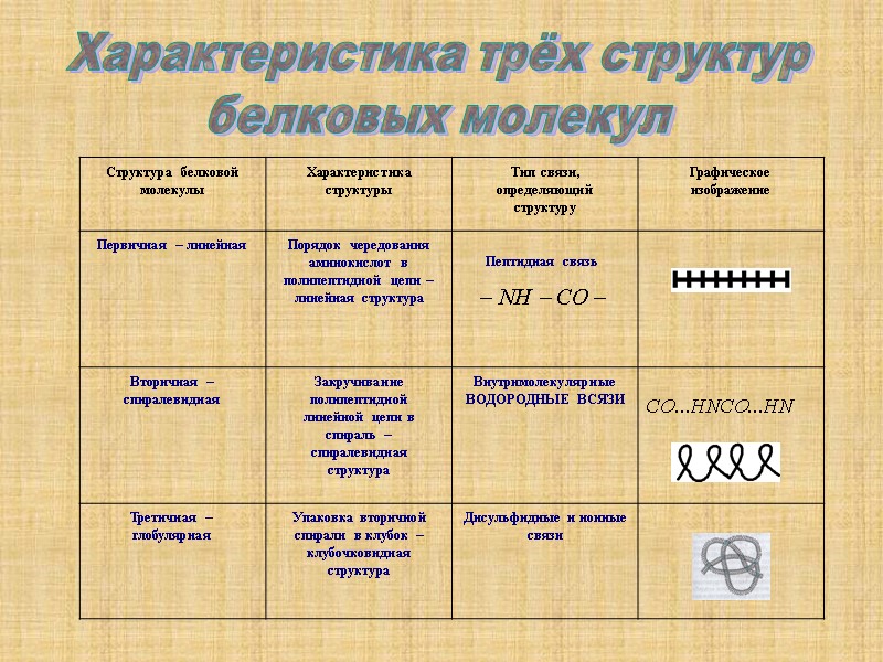 Характеристика трёх структур белковых молекул Пептидная связь